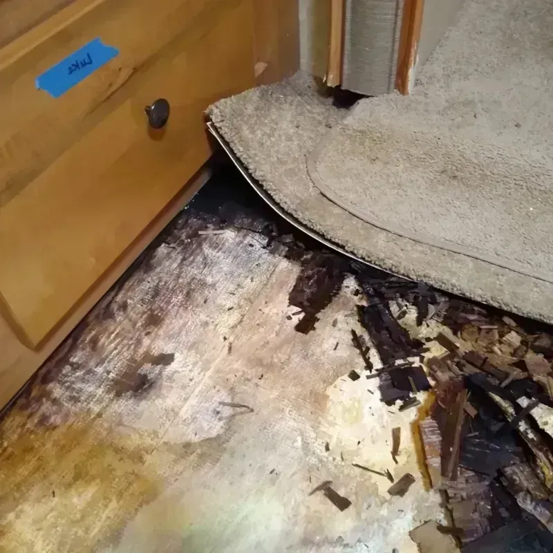 Best Wood Floor Water Damage Service in Gages Lake, IL